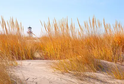 Community Image of Lake Michigan Real Estate New Buffalo Michigan